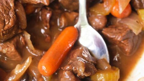 Slow Cooker Bison Stew