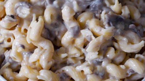 Creamy Garlic Mushroom Pasta Recipe | The Gracious Pantry