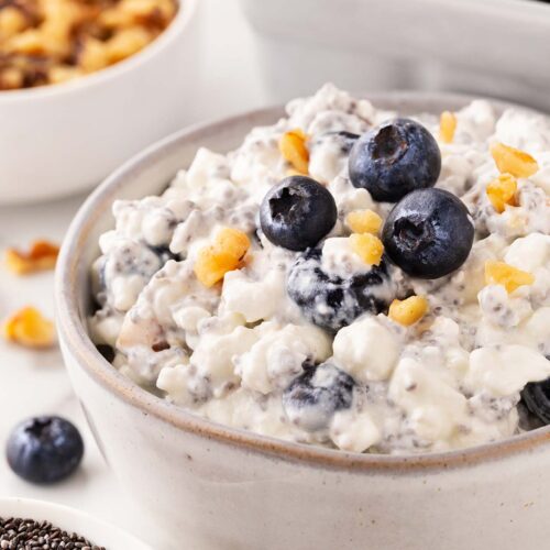 A side view of blueberry cottage cheese in a white bowl.